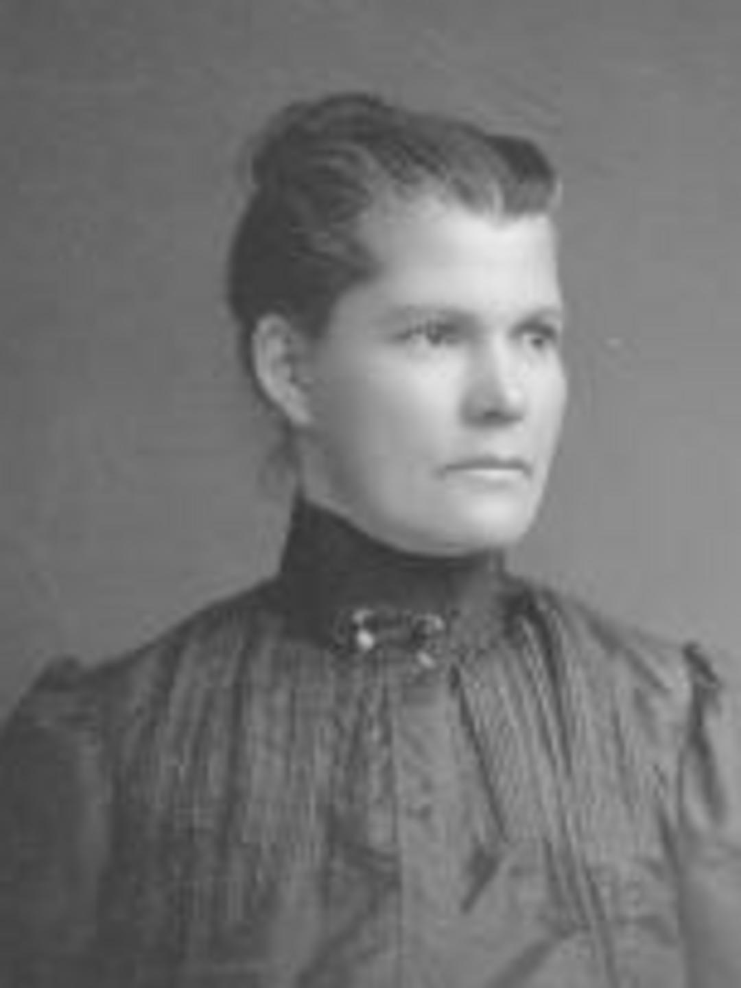 Emma Sarah Freestone (1852 - 1906) Profile